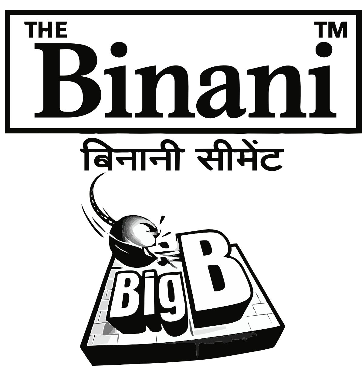 Binani Cement