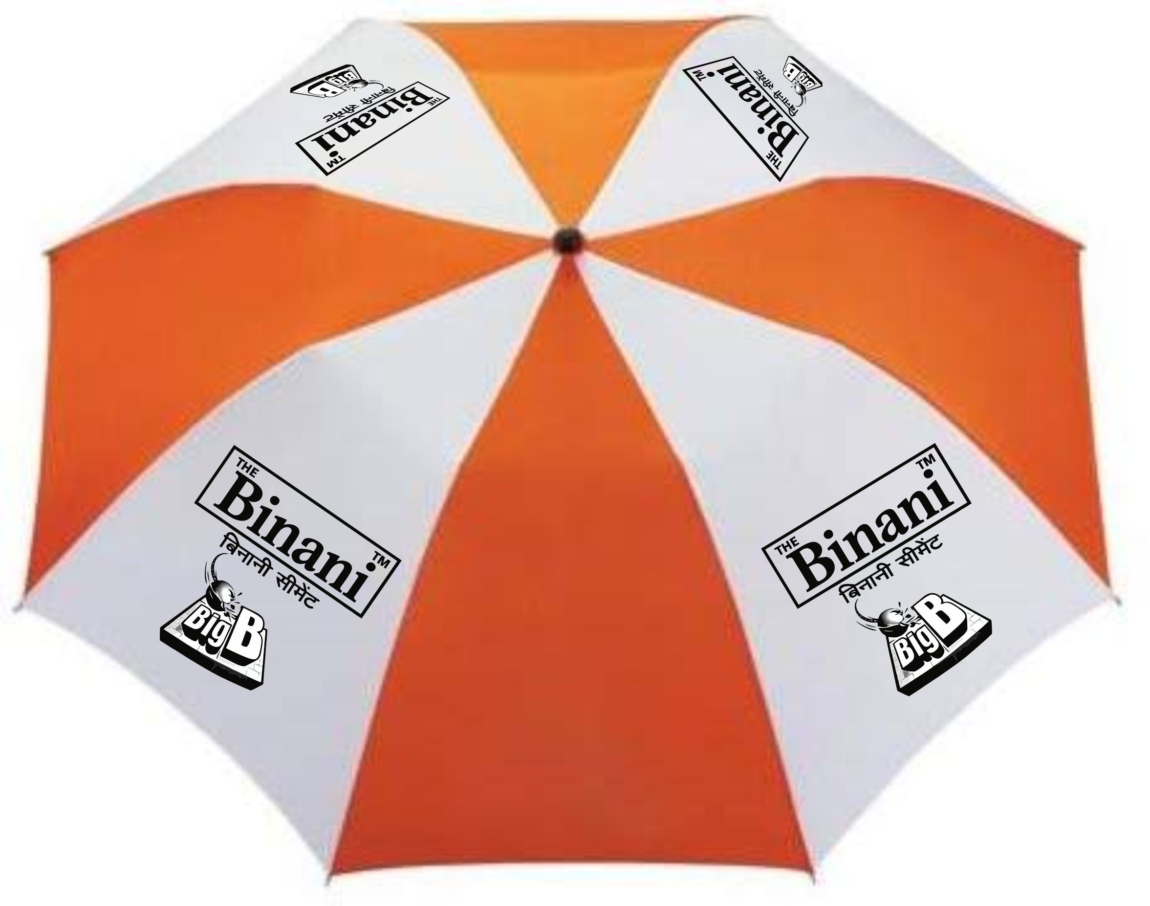Binani Cement product 1